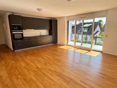 💎 BIJOU EXCEPTIONNEL À PREGNY-CHAMBÉSY : 5.5 PIÈCES NEUF (2022) RIVE DROITE !  image 8