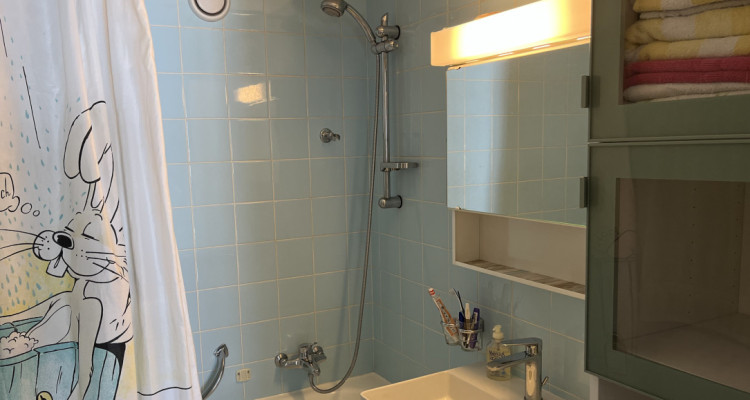 Vue exceptionelle sur le lac et les montagnes pour ce 2,5 pièces à Montreux image 9