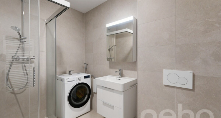 Appartement neuf avec jardin et accès au lac image 8