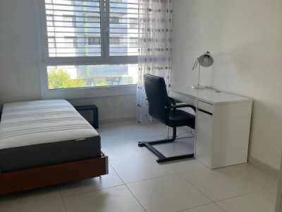 Chambre dans un magnifique appartement situé au Petit Lancy image 1