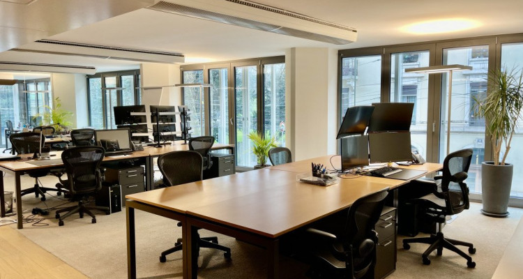 Reprise de bail: Bureaux modernes & meublés – 242 m² – Genève (Eaux-Vives / Lac) image 2