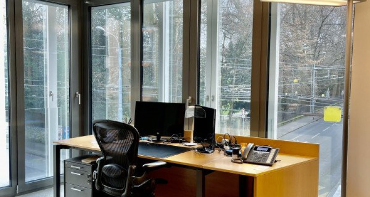 Reprise de bail: Bureaux modernes & meublés – 242 m² – Genève (Eaux-Vives / Lac) image 4