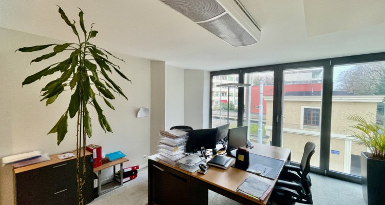 Reprise de bail: Bureaux modernes & meublés – 242 m² – Genève (Eaux-Vives / Lac) image 5