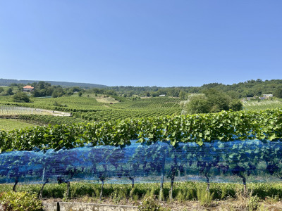 Magnifique avec grand balcon couvert et accès direct au jardin image 6