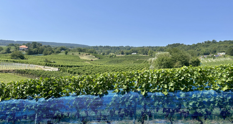 Magnifique avec grand balcon couvert et accès direct au jardin image 6