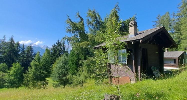 Tzoumaz – A vendre un chalet en duplex de 5.5 pièces en pleine nature image 12