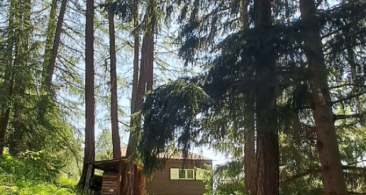 Tzoumaz – A vendre un chalet en duplex de 5.5 pièces en pleine nature image 13