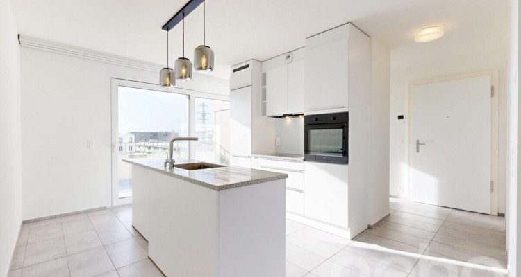 Attique élégant de 3.5 pièces à Nyon avec panorama lac et montagne image 2