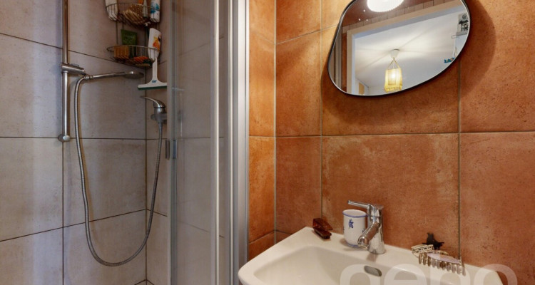 Grand appartement familial de 114 m², lumineux, au c?ur de Genève image 11