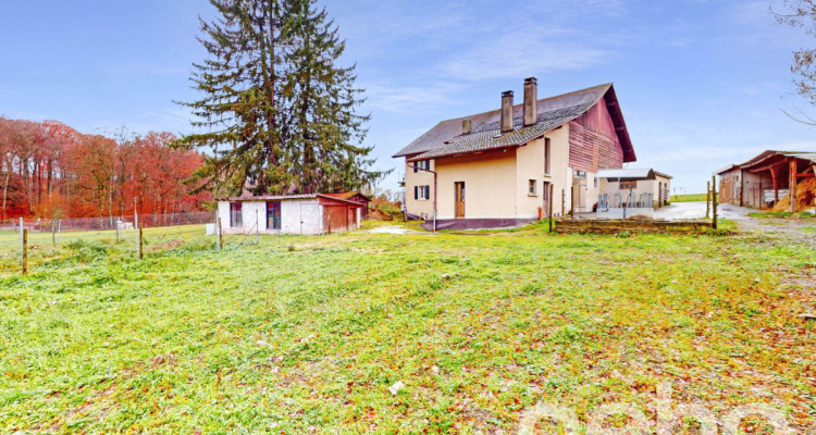 Idéale pour une famille ou un investisseur! image 10