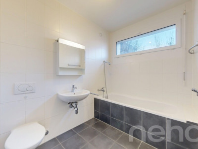 Face au parc des Franchises image 8