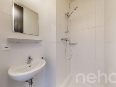 Face au parc des Franchises image 10