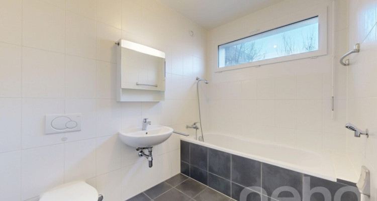 Face au parc des Franchises image 8