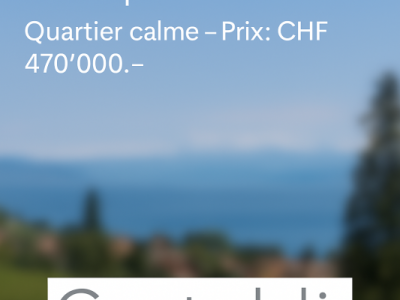 Vue sur le lac et les Alpes quartier tranquille image 1