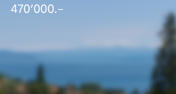 Vue sur le lac et les Alpes quartier tranquille image 1