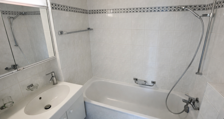 Charmante 2.5-Zimmer-Dachwohnung image 3