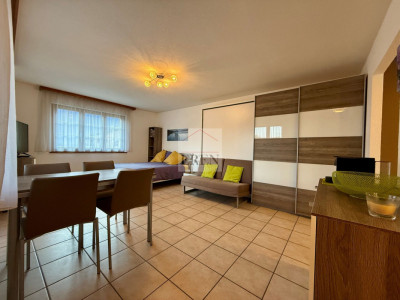 Superbe studio meublé avec balcon sud et vue sur les montagnes à louer aux bains de Saillon image 1