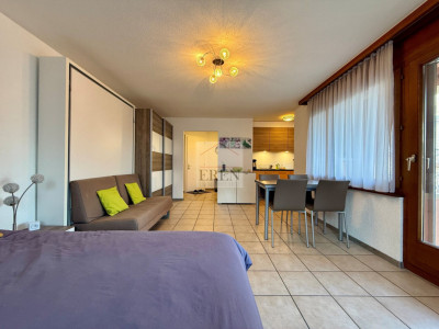 Superbe studio meublé avec balcon sud et vue sur les montagnes à louer aux bains de Saillon image 3