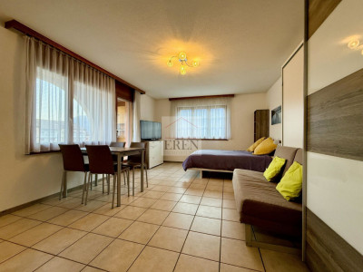 Superbe studio meublé avec balcon sud et vue sur les montagnes à louer aux bains de Saillon image 4