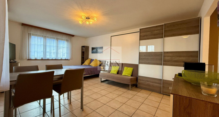 Superbe studio meublé avec balcon sud et vue sur les montagnes à louer aux bains de Saillon image 1