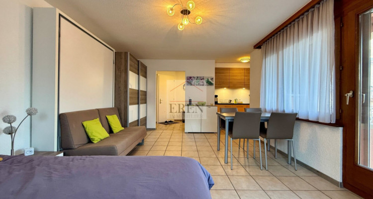 Superbe studio meublé avec balcon sud et vue sur les montagnes à louer aux bains de Saillon image 3