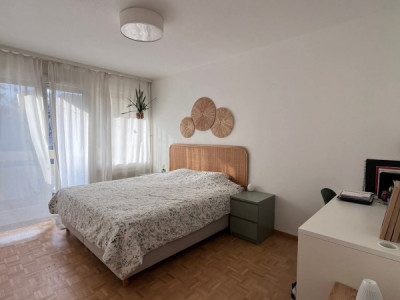 Sous location meublée et déclarée de 5 pièces situé aux Délices image 9