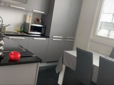 Appartement de 3 pièces situé au Lignon image 2