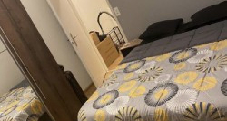 Appartement de 3 pièces situé au Lignon image 3