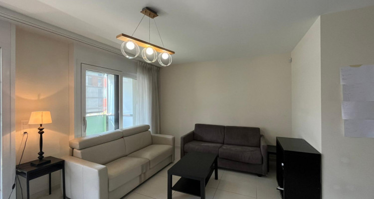 Chambre dans un magnifique appartement situé au Petit Lancy image 2