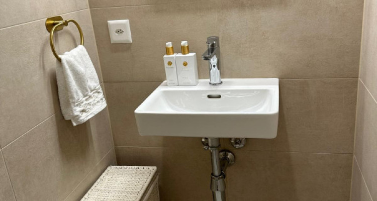 Appartement de 3 pièces neuf en rez-de-jardin situé à Corsier 1246 image 8