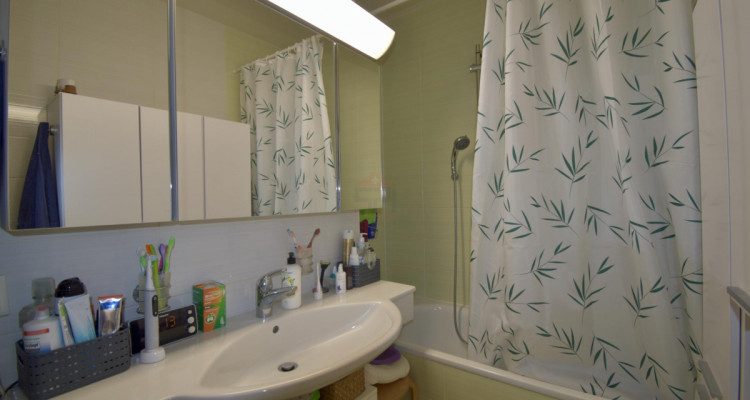 Superbe duplex lumineux à Eysins image 7