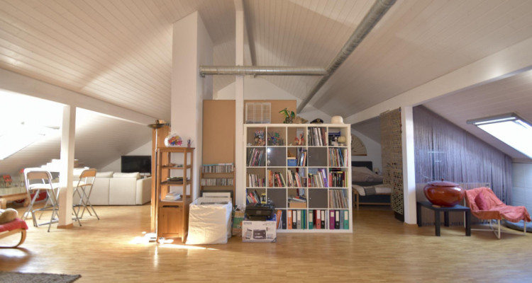 Superbe duplex lumineux à Eysins image 11