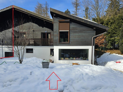 SAINT-CERGUE -  Chalet jumelé - NOUVEAU PRIX image 6