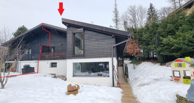 SAINT-CERGUE -  Chalet jumelé - 2 espaces de vie - EXCLUSIVITE image 6