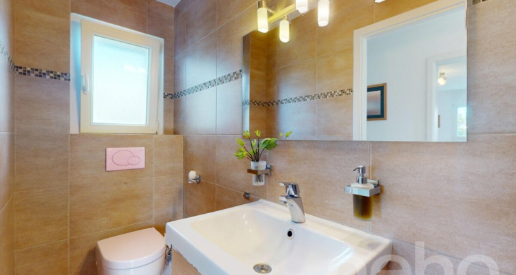 Maison meublée d?exception à Aigle avec vue et grand jardin image 11