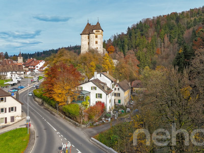 Family home with 2 units, large garden and forest views image 1