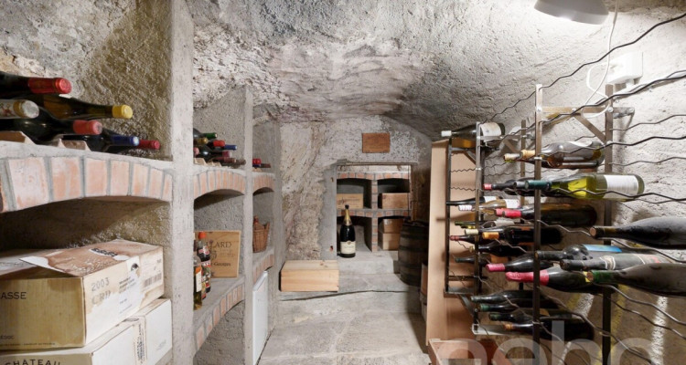 Family home with 2 units, large garden and forest views image 11