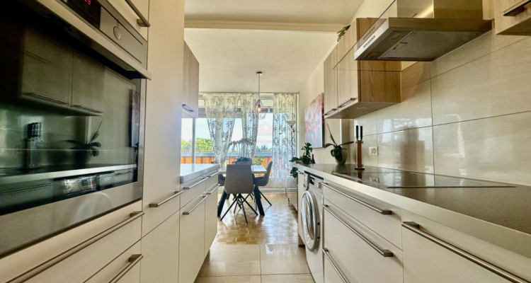 Charmant appartement, 3 pièces vue Salève en CASATAX image 3