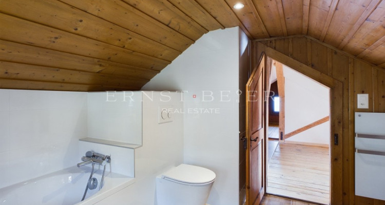 Belle maison de maître entièrement rénovée - 2 appartements image 10