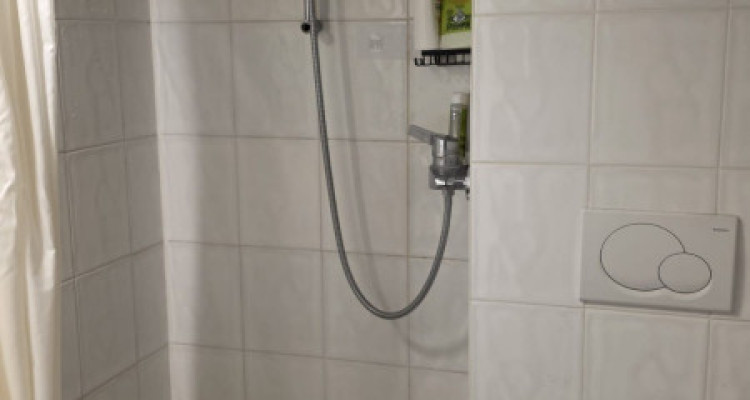 Duplex lumineux de 5 pièces au 1er étage à Plan-les-Ouates 1228  image 7