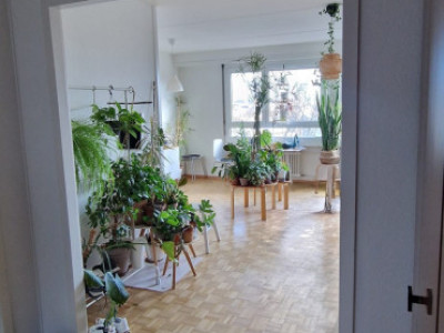 Appartement de 3 pièces au 2ème étage situé à Petit-Lancy 1213 image 4