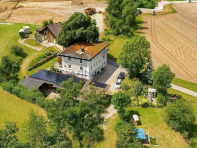 Greenfield 4 Mensch und Tier image 1