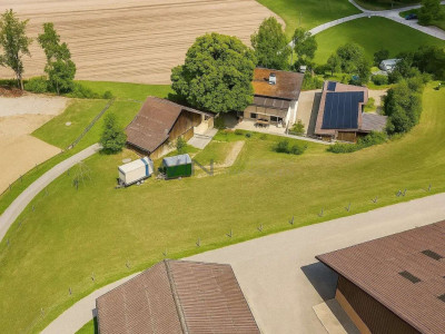 Greenfield 4 Mensch und Tier image 2