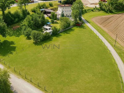 Greenfield 4 Mensch und Tier image 4