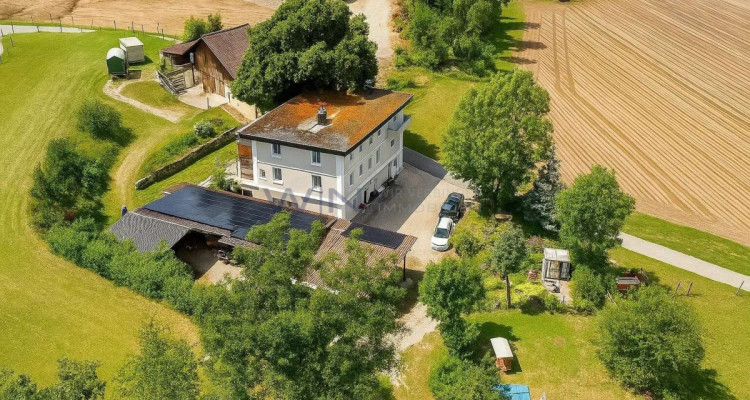 Greenfield 4 Mensch und Tier image 1