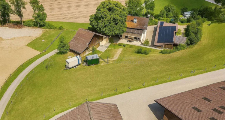 Greenfield 4 Mensch und Tier image 2