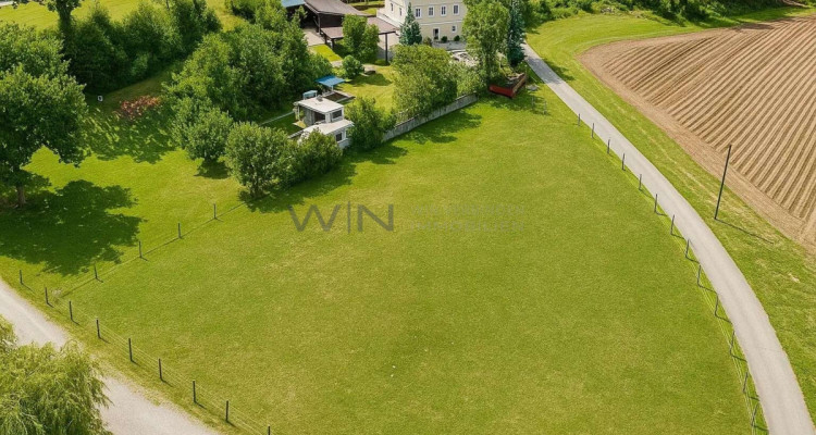 Greenfield 4 Mensch und Tier image 4