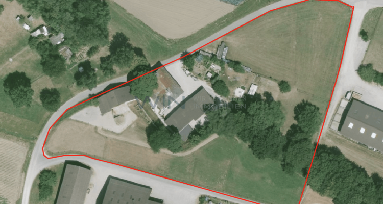 Greenfield 4 Mensch und Tier image 5