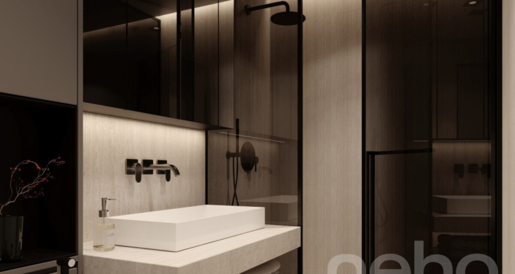 Attique de standing avec terrasse et balcon image 7