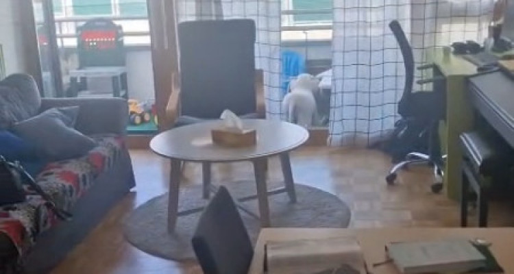 Appartement HM 5 pièces en coopérative situé au Grand-Lancy image 2